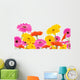Colored Gerber Flowers White Wall Decal