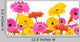 Colored Gerber Flowers White Wall Decal