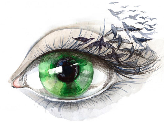 Eye With Birds Series Wall Decal