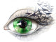 Eye With Birds Series Wall Decal