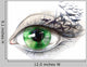 Eye With Birds Series Wall Decal