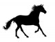Running Horse Silhouette Wall Decal