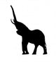 Trumpeting Elephant Silhouette Wall Decal