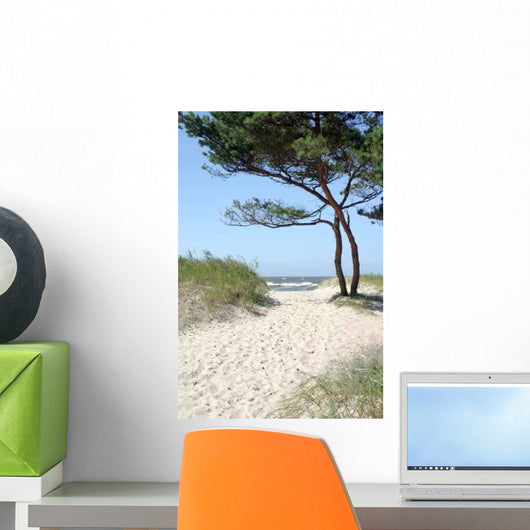 Sandy Path To Beach Wall Decal