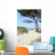 Sandy Path To Beach Wall Decal