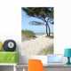 Sandy Path To Beach Wall Decal