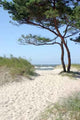 Sandy Path To Beach Wall Decal