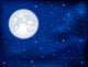 Night Sky And Moon Wall Decal
