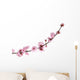 Pink Cherry Blossom White Wall Decal