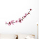 Pink Cherry Blossom White Wall Decal