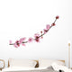 Pink Cherry Blossom White Wall Decal