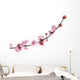 Pink Cherry Blossom White Wall Decal