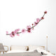Pink Cherry Blossom White Wall Decal