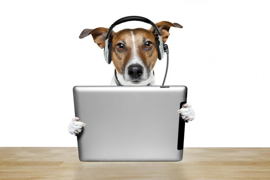 Dog With Headset And Tablet Wall Decal