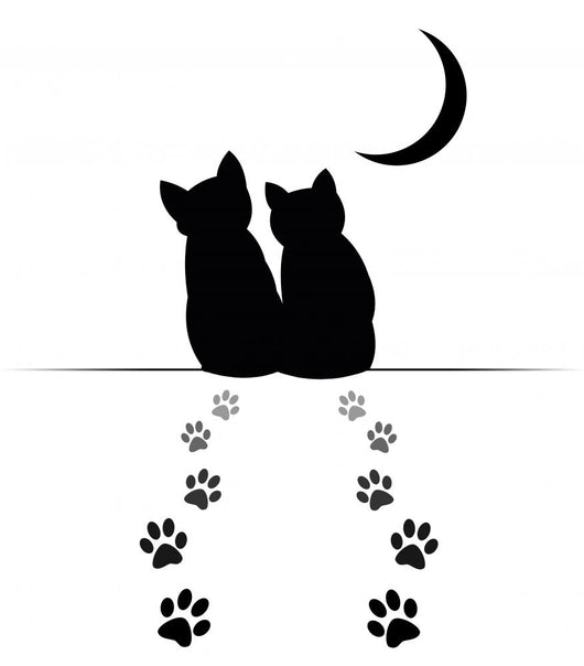 Katzen Wall Decal