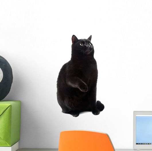 Sitting Black Cat Wall Decal