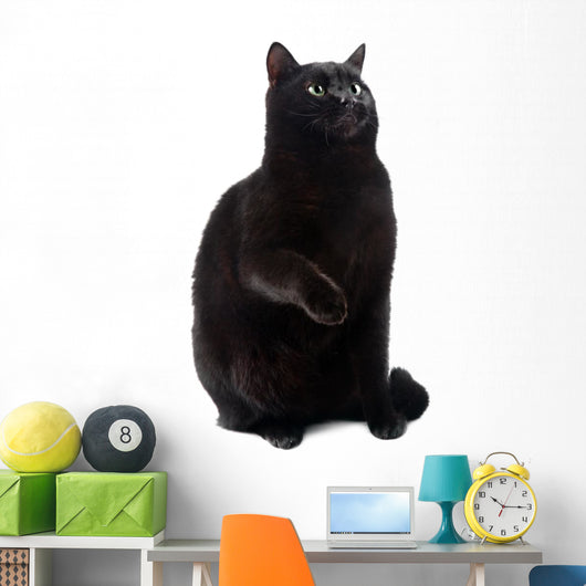 Sitting Black Cat Wall Decal