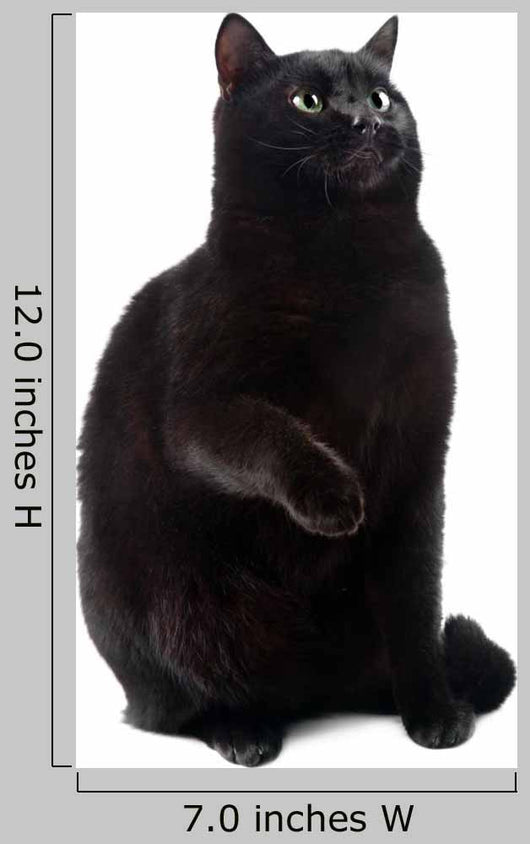 Sitting Black Cat Wall Decal