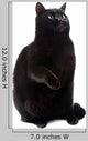 Sitting Black Cat Wall Decal