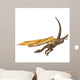 Dragon Hunting Down Wall Decal