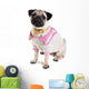 Baby Mops Dressed Sweater Wall Decal
