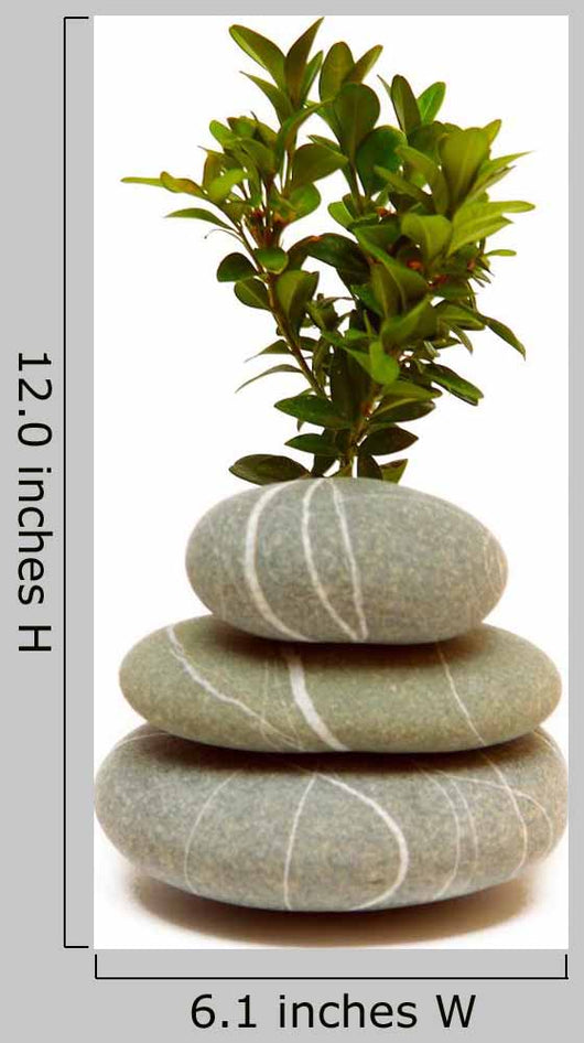 Leaves Tree And Pebbles Wall Decal