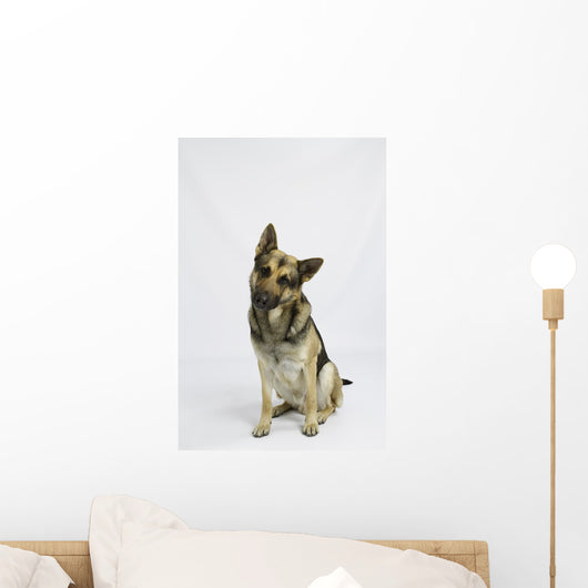 German Shepherd Wall Decal