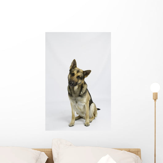 German Shepherd Wall Decal