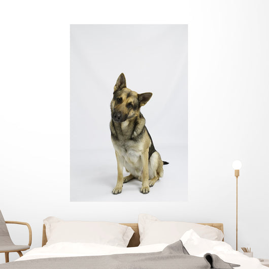German Shepherd Wall Decal