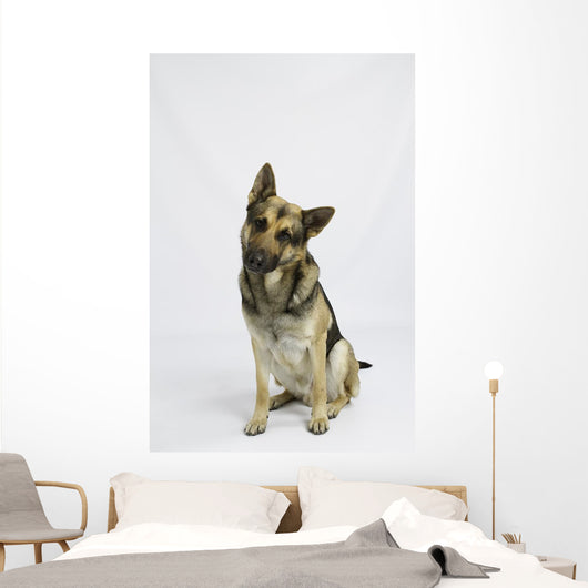 German Shepherd Wall Decal