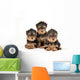 Three Yorkie Puppies Wall Decal