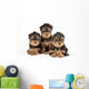 Three Yorkie Puppies Wall Decal