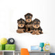 Three Yorkie Puppies Wall Decal