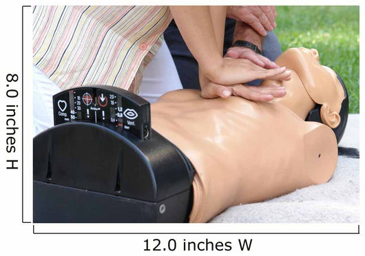 Resuscitation Demonstration Wall Decal