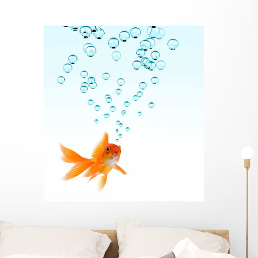 Goldfish and Bubbles Wall Decal