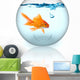 Goldfish Bowl With Bubbles Wall Decal