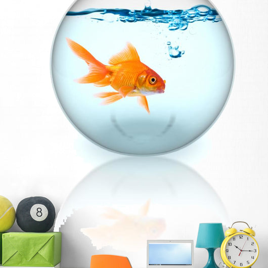 Goldfish Bowl With Bubbles Wall Decal