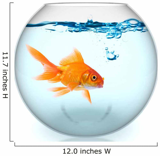 Goldfish Bowl With Bubbles Wall Decal