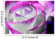 Pink And White Rose Wall Decal