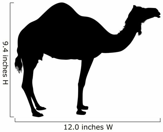 Vector Camel Wall Decal