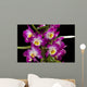 Dendrobium Nobile Wall Decal