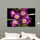 Dendrobium Nobile Wall Decal