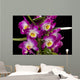 Dendrobium Nobile Wall Decal