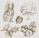 Set Forest Wall Decal