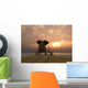 Elephant And Dog Sitting on Bench at Sunset Wall Decal