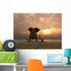 Elephant And Dog Sitting on Bench at Sunset Wall Decal