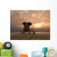 Elephant And Dog Sitting on Bench at Sunset Wall Decal