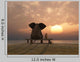Elephant And Dog Sitting on Bench at Sunset Wall Decal