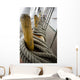 Ropes Close-Up Boat Rigging Wall Decal