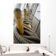 Ropes Close-Up Boat Rigging Wall Decal
